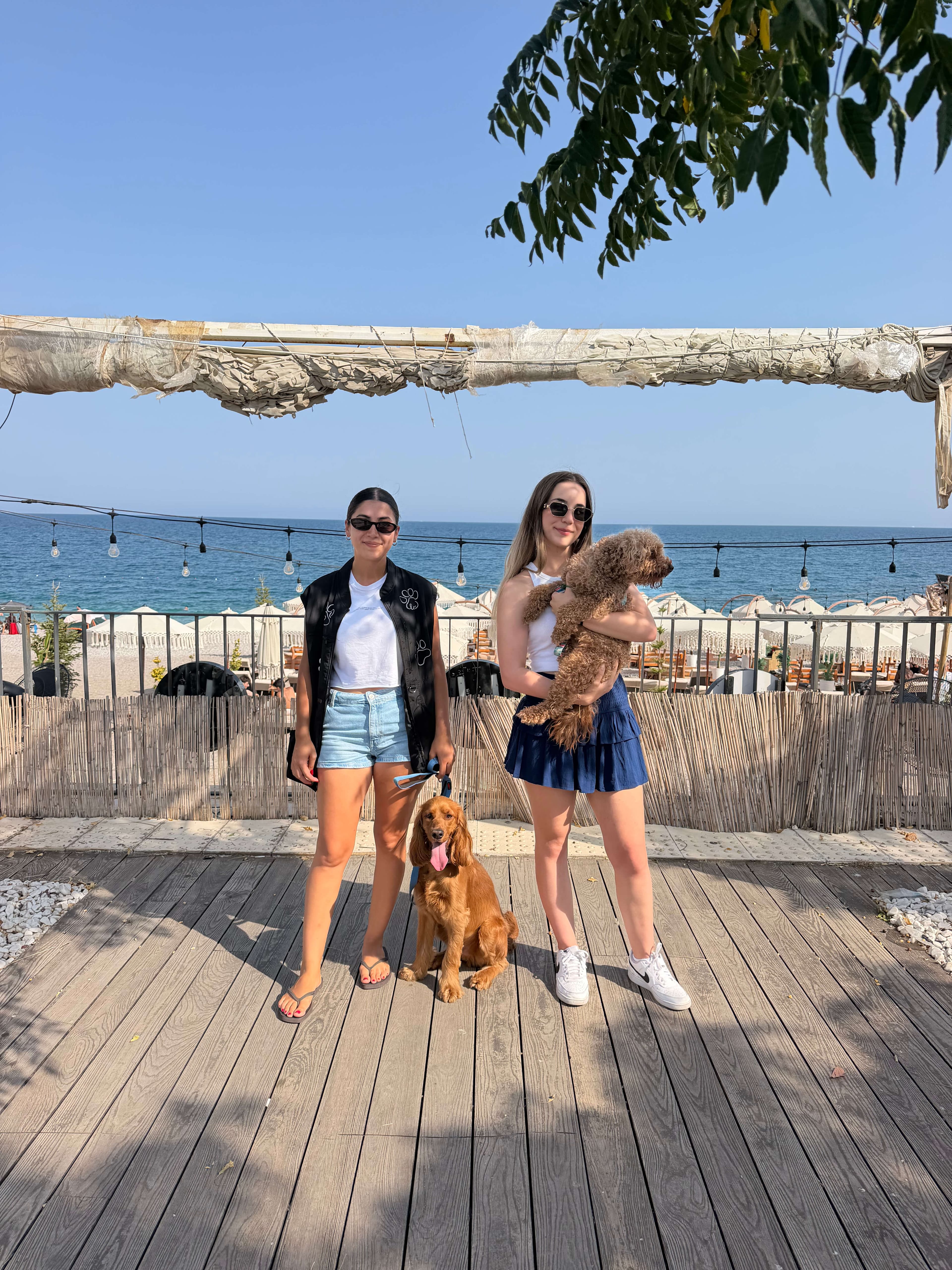 Patilerin Dünyası dostları ve köpekleriyle bir arada