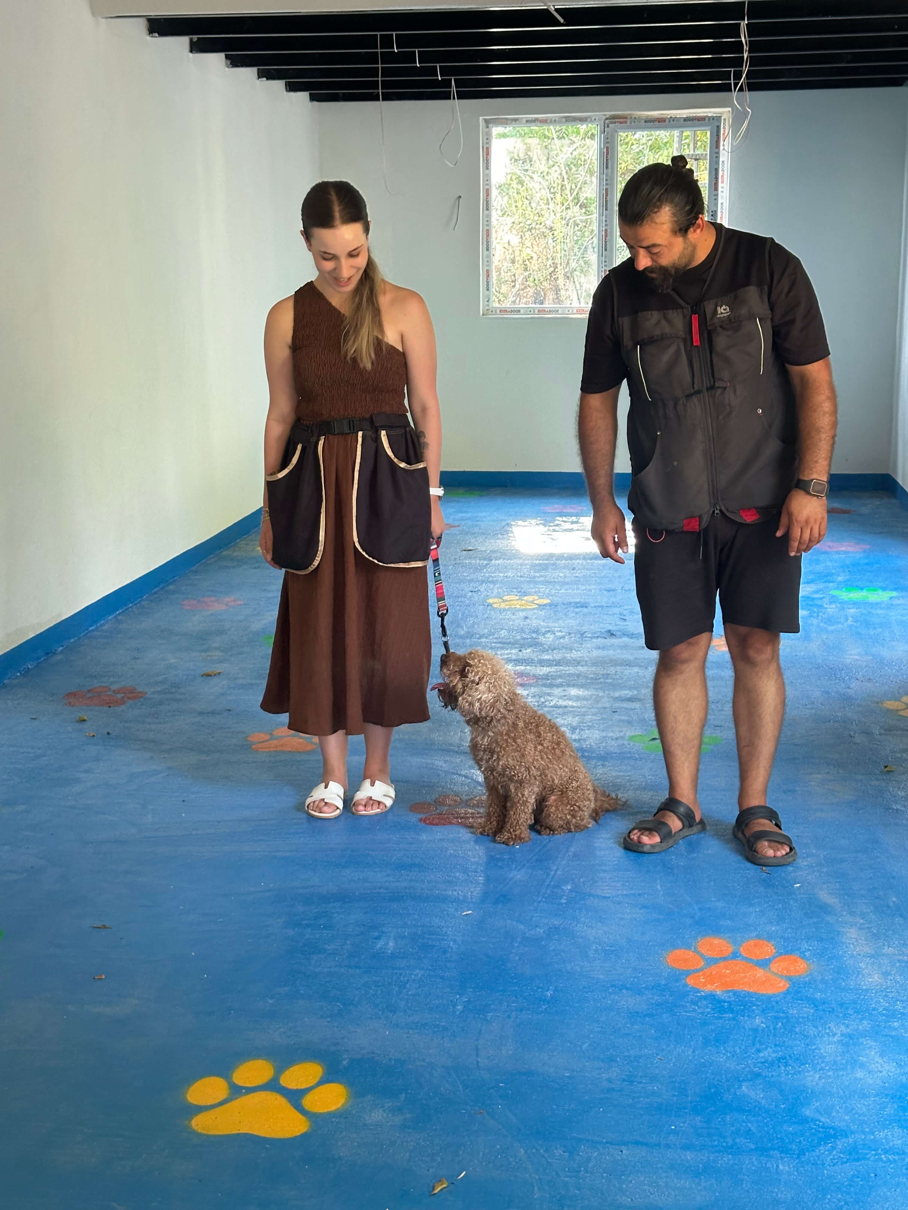 Patilerin Dünyası köpek eğitimi odasında bir çalışma anı